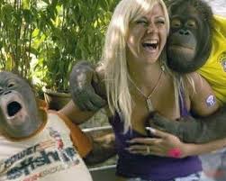Images 2 9